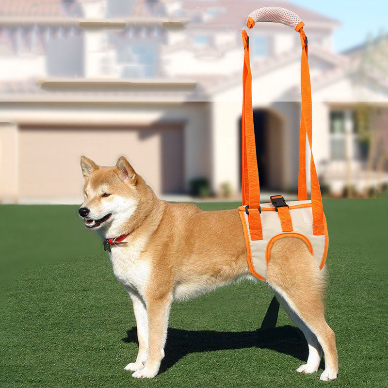 Hind Leg Support Harness for Dogs — Rear Mobility Aid for Senior & Injured Dogs | ButtersChoice Approved!