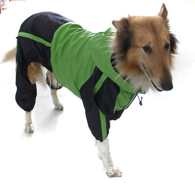 Keep Your Dog Dry on Rainy Walks – Waterproof Full-Body Dog Raincoat